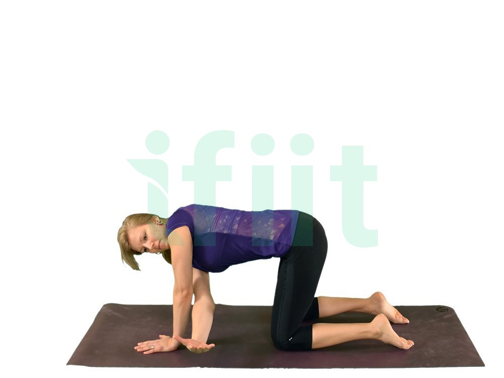 دوره Thoracic Rotation + Reach - Four Point در ستاو