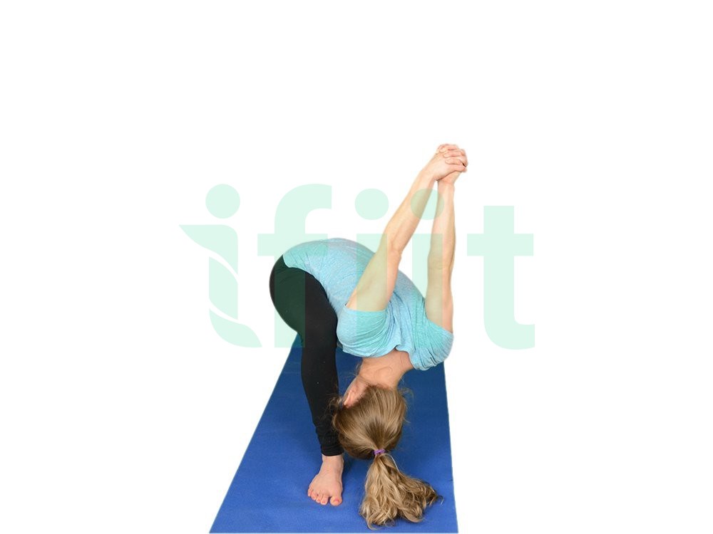 دوره Warrior 2 ⇒ Lunge Yoga Seal در ستاو