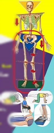 ارزیابی مرکز تندرستی و مشاوره ورزشی - دانشگاه ولی عصر(عج) رفسنجان1402 - اداره کل تربیت بدنی وزارت علوم- در ستاو